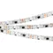 Минифото #4 товара Светодиодная лента герметичная SPI-SE-B60-10mm 12V RGB-PX3 (14.4 W/m, IP65, 5060, 5m) (Arlight, бегущий огонь)