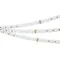 Минифото #5 товара Светодиодная лента IC-BA108-12mm 48V RGBW-Warm (15 W/m, IP20, 5060/2835, 40m) (Arlight, стабилизированная)