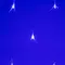 Минифото #2 товара Светодиодная гирлянда ARD-NETLIGHT-HOME-1800x1500-CLEAR-180LED Blue (230V, 15W) (Ardecoled, IP20)
