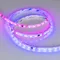 Минифото #2 товара Светодиодная лента герметичная SPI-SE-B60-10mm 24V RGB-PX6-BPT (12 W/m, IP65, 5060, 5m) (Arlight, бегущий огонь)