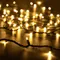 Минифото #1 товара Светодиодная гирлянда ARD-STRING-PRO-10000-GREEN-100LED-FLASH WARM (230V, 7W) (Ardecoled, IP65, 2 года)