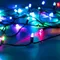 Минифото #1 товара Светодиодная гирлянда ARD-STRING-CLASSIC-15000-BLACK-100LED-LIVE RGB-SPI (12V, 53W) (Ardecoled, IP65, 1 год)