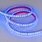 Минифото #4 товара Светодиодная лента RTW 2-5000PGS 12V Blue 2x (3528, 600 LED) (Arlight, 9.6 Вт/м, IP67)
