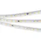 Минифото #1 товара Светодиодная лента ARL-10000PV-5060-54-230V White6000 (15mm, 8W, IP65) (Arlight, 8 Вт/м, IP65)