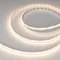 Минифото #4 товара Светодиодная лента CSP-X840-12mm 24V RGBW-Warm (17.2 W/m, IP20, 5m) (Arlight, 5 лет)