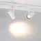 Минифото #2 товара Насадка LGD-ARTIFACT-OVAL-LENS-R65 (WH) (Arlight, Металл)