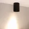 Минифото #2 товара Светильник SP-FOCUS-R110-18W Warm3000 (BK, 36 deg, 230V) (Arlight, IP54 Металл, 5 лет)