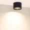 Минифото #4 товара Светильник SP-BISCOTTO-R120-12W Warm3300-MIX (BK, 80 deg, 230V) (Arlight, IP54 Металл, 5 лет)