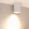 Минифото #4 товара Светильник SP-FOCUS-R132-24W Warm3000 (WH, 50 deg, 230V) (Arlight, IP54 Металл, 5 лет)