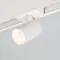 Минифото #2 товара Светильник MAG-SPOT-45-R85-3W Day4000 (WH, 20 deg, 24V) (Arlight, IP20 Металл, 3 года)