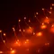 Минифото #2 товара Светодиодная нить WR-5000-12V-Orange (1608,100LED) (Arlight, IP65)