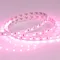 Минифото #3 товара Светодиодная лента RT 2-5000 24V Pink 2x (5060, 300 LED, LUX) (Arlight, 14.4 Вт/м, IP20)