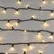 Минифото #4 товара Светодиодная гирлянда ARD-STRING-PRO-10000-GREEN-100LED-STD WARM (230V, 7W) (Ardecoled, IP65, 2 года)