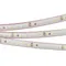 Минифото #1 товара Светодиодная лента RTW 2-5000PS-50m 24V Warm3000 2x (3528, 120 LED/m, LUX) (Arlight, 9.6 Вт/м, IP67)