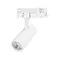 Минифото #1 товара Светильник LGD-GERA-4TR-R55-10W Day4000 (WH, 24 deg, 230V) (Arlight, IP20 Металл, 5 лет)