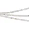 Минифото #1 товара Светодиодная лента RT-50000 48V White5500 (3528, 78 LED/m, 50m) (Arlight, 4 Вт/м, IP20)