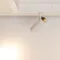 Минифото #2 товара Светильник CLIP-38-SPOT-R146-6W Warm3000 (WH, 24 deg, 24V) (Arlight, IP40 Металл, 3 года)