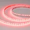 Минифото #6 товара Светодиодная лента RT-A168-10mm 24V RGBW-Warm (20 W/m, IP20, 5m) (Arlight, высок.эфф.150 лм/Вт)
