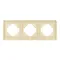 Минифото #2 товара Рамка стеклянная FRM-OMALI-SFGS-3-GD (Arlight, -)