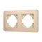 Минифото #1 товара Рамка алюминиевая FRM-AKIRY-AL-2-GD (Arlight, -)