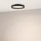 Минифото #3 товара Светильник SP-ESTELY-R350-30W Warm3300-MIX (BK, 80 deg, 230V, TRIAC) (Arlight, IP20 Металл, 5 лет)