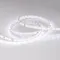 Минифото #5 товара Светодиодная лента IC 2-30000 24V White6000 10mm (2835, 60 LED/m, LUX) (Arlight, 4.6 Вт/м, IP20)