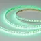 Минифото #2 товара Светодиодная лента RT-A168-10mm 24V RGBW-Warm (20 W/m, IP20, 5m) (Arlight, высок.эфф.150 лм/Вт)