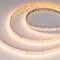 Минифото #1 товара Светодиодная лента RT-AM360-12mm 24V RGBW-MIX (24 W/m, IP20, 2835/2210, 5m) (Arlight, RGB-CCT, RGB-MIX, RGB-White MIX)