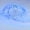 Минифото #2 товара Светодиодная лента RT 2-5000 24V Blue 2x2 (3528, 1200 LED, LUX) (Arlight, 19.2 Вт/м, IP20)