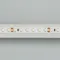 Минифото #2 товара Светодиодная лента RT 2-5000 24V Cool 8K 2x (3528, 600 LED, LUX) (Arlight, 9.6 Вт/м, IP20)