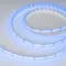 Минифото #4 товара Светодиодная лента CSP-X840-12mm 24V RGBW-Day (17.2 W/m, IP20, 5m)  (Arlight, 5 лет)