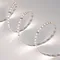 Минифото #2 товара Светодиодная лента MICROLED-M120-8mm 24V Day4000 (14 W/m, IP20, 2216, 5m) (Arlight, Открытый)