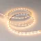 Минифото #4 товара Светодиодная лента RT-A60-8mm 24V Warm2700 CRI98 (4.8 W/m, IP20, 2835, 5m) (Arlight, 4.8 Вт/м, IP20)