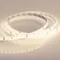 Минифото #3 товара Светодиодная лента RTW 2-5000SE 24V 2X Warm3000 (2835, 600 LED, PRO) (Arlight, 14.4 Вт/м, IP65)