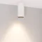 Минифото #2 товара Светильник SP-GABI-SURFACE-R60-12W Warm3000 (WH, 60 deg, 230V) (Arlight, IP40 Металл, 5 лет)