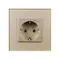 Минифото #3 товара Розетка электрическая с Zigbee управлением SCT-OMALI-EUZB1-PL-GD (240V, 16A, Zigbee) (Arlight, -)