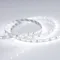 Минифото #2 товара Светодиодная лента RT 2-5000 12V White6000 (3528, 300 LED, LUX) (Arlight, 4.8 Вт/м, IP20)