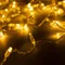 Минифото #1 товара Светодиодная гирлянда ARD-STRING-CLASSIC-10000-CLEAR-100LED-FLASH Warm/Warm (230V, 7W) (Ardecoled, IP65, 1 год)