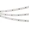 Минифото #4 товара Светодиодная лента герметичная SPI-PFS-B60-12mm 12V RGB-PX3-BPT (12 W/m, IP68, 5060, 5m) (Arlight, бегущий огонь)