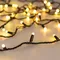 Минифото #6 товара Светодиодная гирлянда ARD-STRING-CLASSIC-20000-BLACK-200LED-MILK-SYNC RGB (230V, 13W) (Ardecoled, IP65, 1 год)