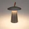 Минифото #2 товара Светильник SP-PATIO-TAB-2W Warm3000 (GR, 127 deg) (Arlight, IP54 Металл, 2 года)