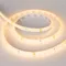 Минифото #3 товара Светодиодная лента герметичная RTW-SE-A98-8mm 24V Warm3000 (10 W/m, IP65, 2835, 5m) (Arlight, -)