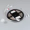 Минифото #2 товара Светодиодная лента герметичная SPI-P-B60-12mm 12V RGB-PX1-BPT (8 W/m, IP66, 5060, 5m) (Arlight, бегущий огонь)