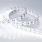 Минифото #4 товара Светодиодная лента RT 2-5000 24V Cool 8K 2x2 (5060, 600 LED, LUX) (Arlight, 28.8 Вт/м, IP20)