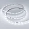 Минифото #3 товара Светодиодная лента RT-10000 24V White6000 (3528, 60 LED/m, 10m) (Arlight, 4.8 Вт/м, IP20)