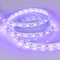 Минифото #2 товара Светодиодная лента RT-B60-10mm 12V UV400 (14.4 W/m, IP20, 5060, 5m) (Arlight, Открытый)