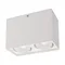 Минифото #1 товара Светильник SP-CUBUS-S100x200-2x11W Day4000 (WH, 40 deg, 230V) (Arlight, IP20 Металл, 3 года)