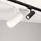 Минифото #2 товара Светильник LGD-ZEUS-2TR-R100-30W Warm3000 (WH, 20-60 deg) (Arlight, IP20 Металл, 3 года)
