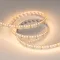 Минифото #3 товара Светодиодная лента RT-A240-15mm 24V White-MIX (19.2 W/m, IP20, 2835, 5m) (Arlight, Изменяемая ЦТ)