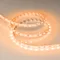Минифото #2 товара Светодиодная лента RT-B60-10mm 24V Orange (14.4 W/m, IP20, 5060, 5m) (Arlight, 14.4 Вт/м, IP20)